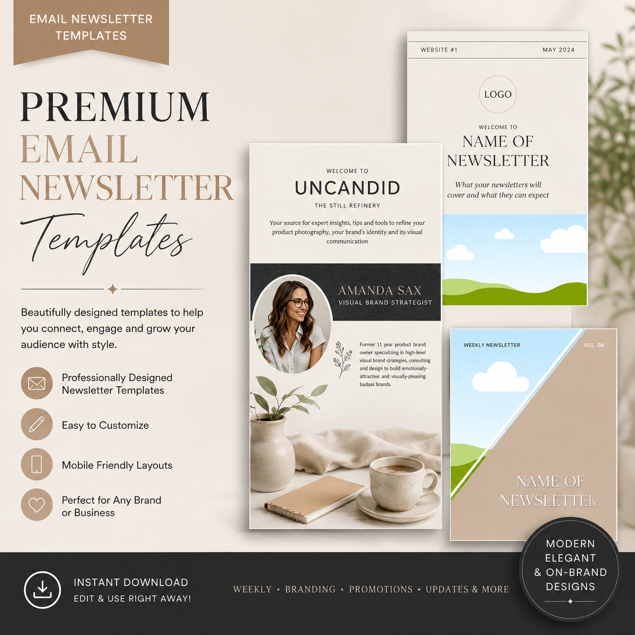 Premium Email Newsletter Templates